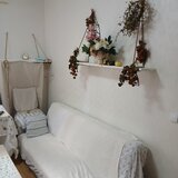 Cismigiu inchiriere garsoniera